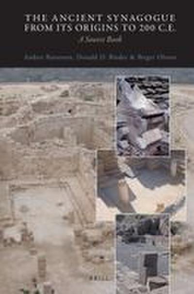 The Ancient Synagogue from Its Origins to 200 C.E.