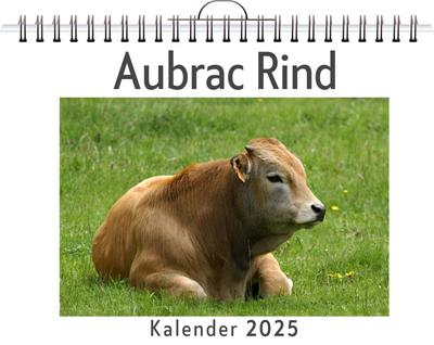 Müller, C: Aubrac Rind