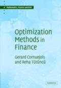 Optimization Methods in Finance