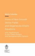 Flows of Non-Smooth Vector Fields and Degenerate E