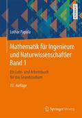 Mathematik für Ingenieure und Naturwissenschaftler 1