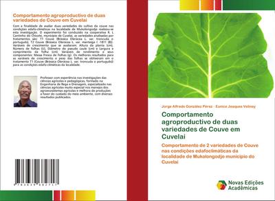 Comportamento agroproductivo de duas variedades de Couve em Cuvelai