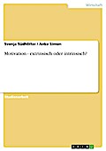 Motivation - extrinsisch oder intrinsisch?