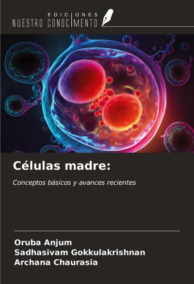 Células madre: