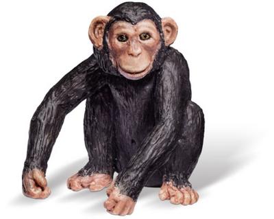 tiptoi® Schimpansenjunges
