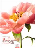 Blütenbilder Kalender 2026 von Sibylle Pietrek | sonst. Bücher