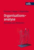 Organisationsanalyse