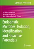 Endophytic Microbes: Isolation, Identification, and Bioactive Potentials