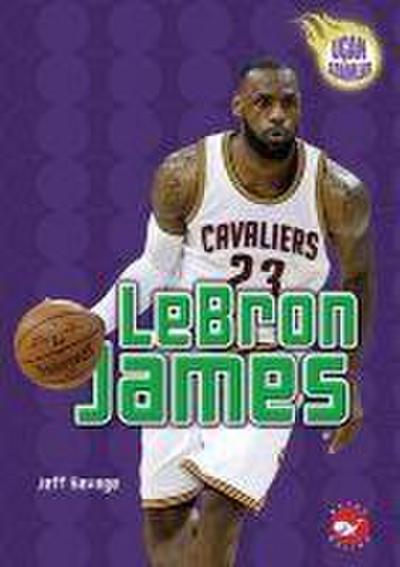 LeBron James - Ucan Adamlar