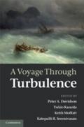 Voyage Through Turbulence