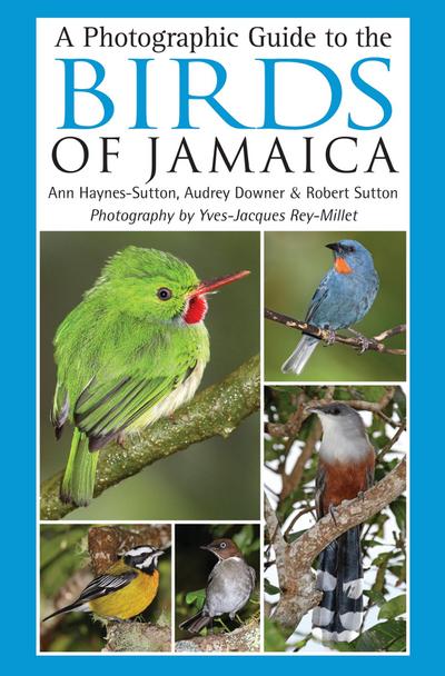 A Photographic Guide to the Birds of Jamaica