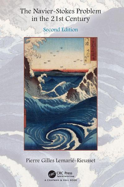 The Navier-Stokes Problem in the 21st Century