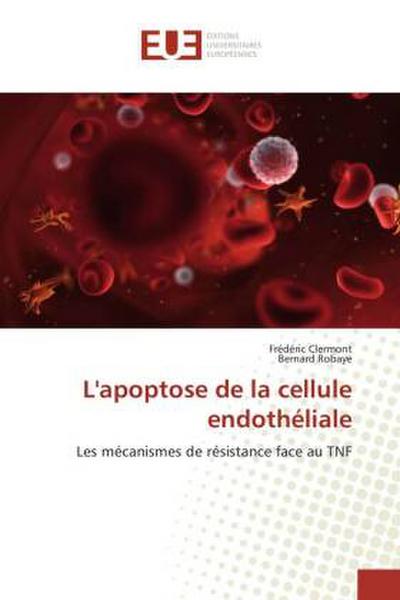 L’apoptose de la cellule endothéliale