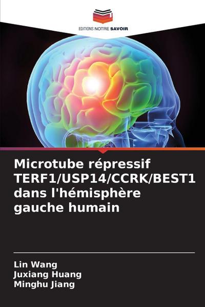 Microtube répressif TERF1/USP14/CCRK/BEST1 dans l’hémisphère gauche humain