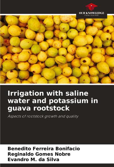Irrigation with saline water and potassium in guava rootstock