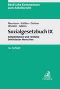 Sozialgesetzbuch IX: Rehabilitation und Teilhabe behinderter Menschen (Beck’sche Kommentare zum Arbeitsrecht)