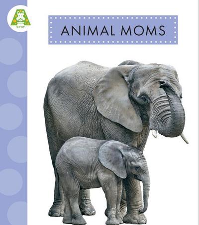 Animal Moms