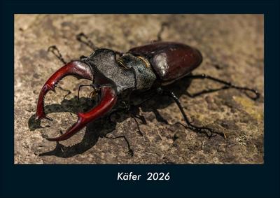 Käfer  2026 Fotokalender DIN A4