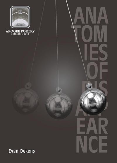 Anatomies of Disappearance