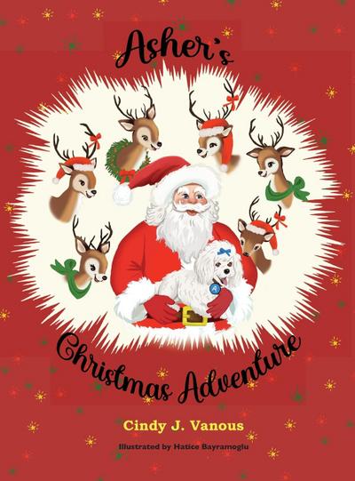 Asher’s Christmas Adventure