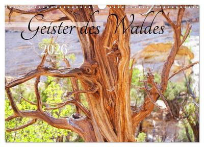 Geisterbäume (Wandkalender 2026 DIN A3 quer), CALVENDO Monatskalender