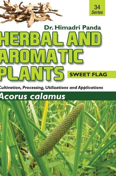 HERBAL AND AROMATIC PLANTS - 34. Acorus calamus (Sweet Flag)