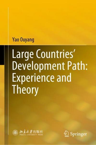 Large Countries Development Path: Experience and Theory