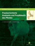 Praxisorientierte Anatomie und Propädeutik des Pferdes