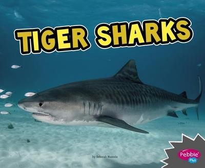 TIGER SHARKS