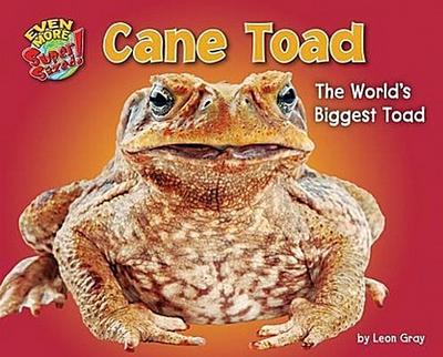 Cane Toad