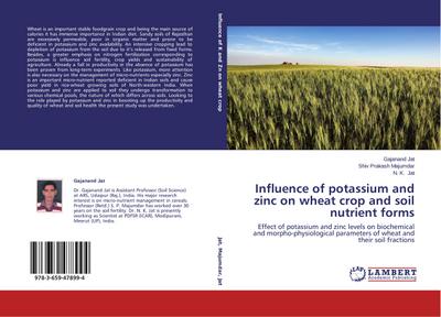 Influence of potassium and zinc on wheat crop and soil nutrient forms