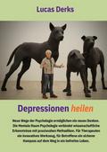 DEPRESSIONEN HEILEN - deutsche Version des Origina