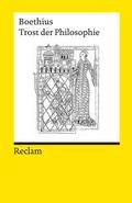 Trost der Philosophie