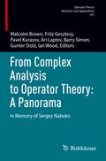From Complex Analysis to Operator Theory: A Panorama