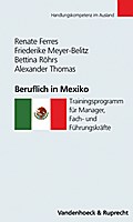 Beruflich in Mexiko