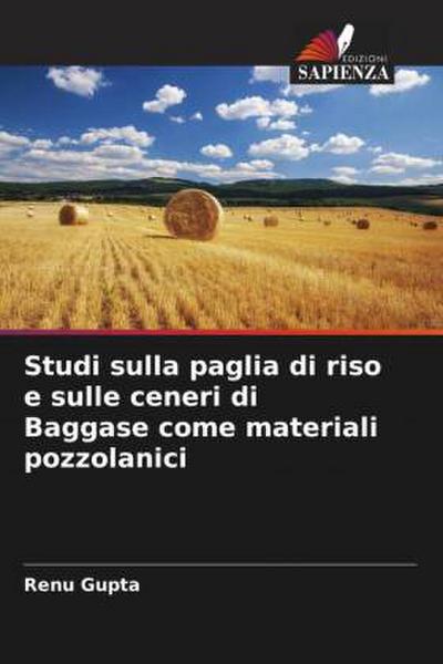 Studi sulla paglia di riso e sulle ceneri di Baggase come materiali pozzolanici