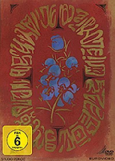 Mary und die Blume der Hexen