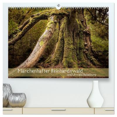 Märchenhafter Reinhardswald und Urwald Sababurg (hochwertiger Premium Wandkalender 2026 DIN A2 quer), Kunstdruck in Hochglanz