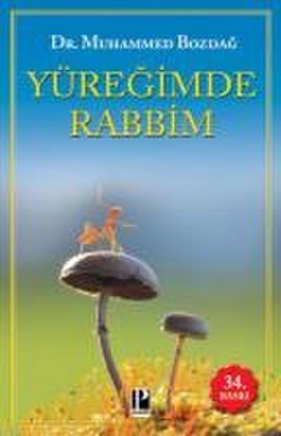 Yüregimde Rabbim