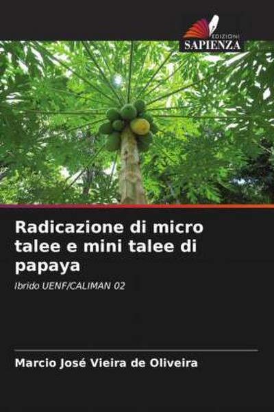 Radicazione di micro talee e mini talee di papaya
