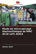 Étude du micro-perçage électrochimique de MMC Al/10 vol% Al2O3