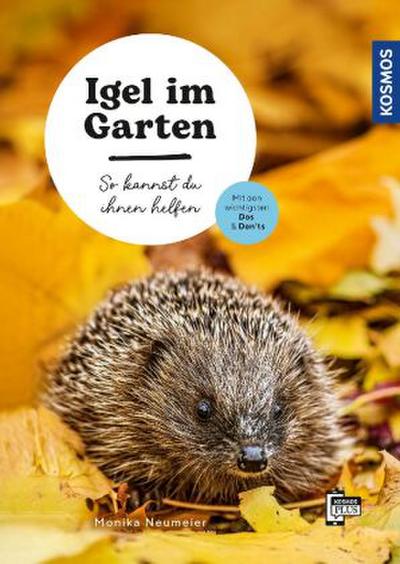 Igel im Garten