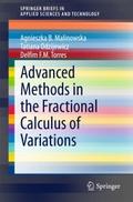 Advanced Methods in the Fractional Calculus of Var