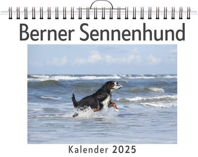 Peters, L: Berner Sennenhund