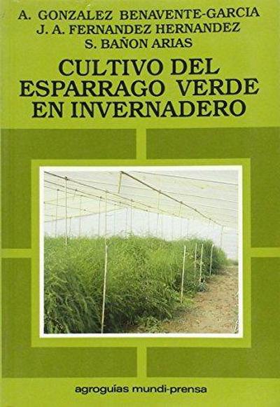Cultivo del espárrago verde en invernadero