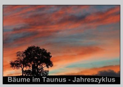 Bäume im Taunus - Jahreszyklus (Posterbuch DIN A2 quer)