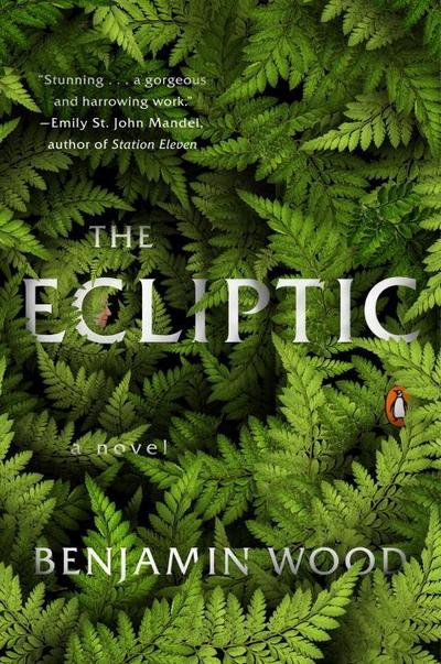The Ecliptic