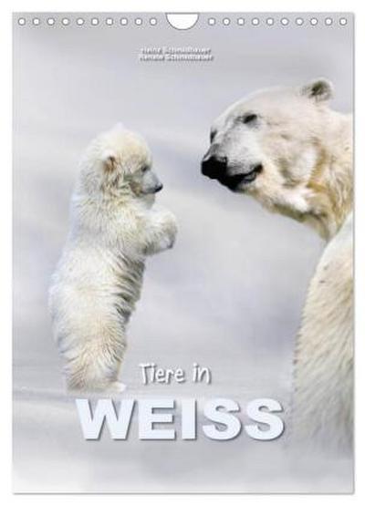 Tiere in Weiß (Wandkalender 2026 DIN A4 hoch), CALVENDO Monatskalender