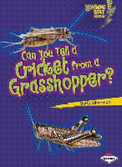 Can You Tell a Cricket from a Grasshopper?