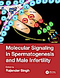 Molecular Signaling in Spermatogenesis and Male Infertility